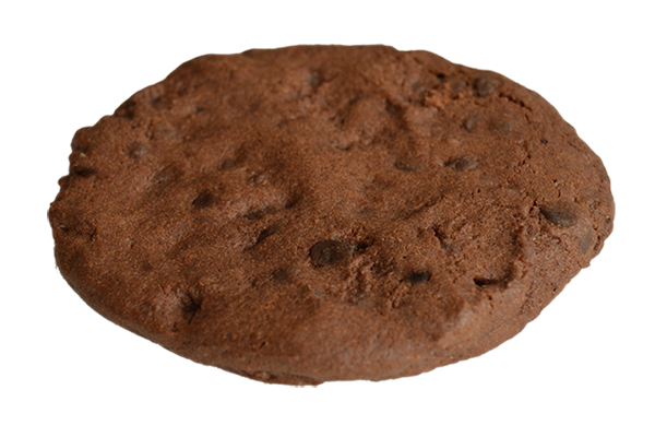 Chocolate cookie with chocolate chips